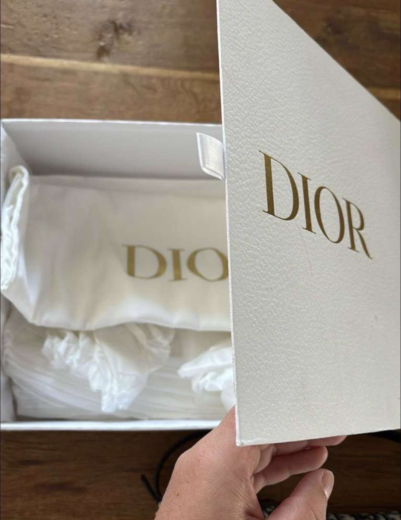 Dior Saddle bag