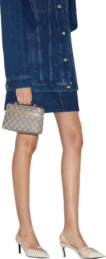Gucci vanity bag
