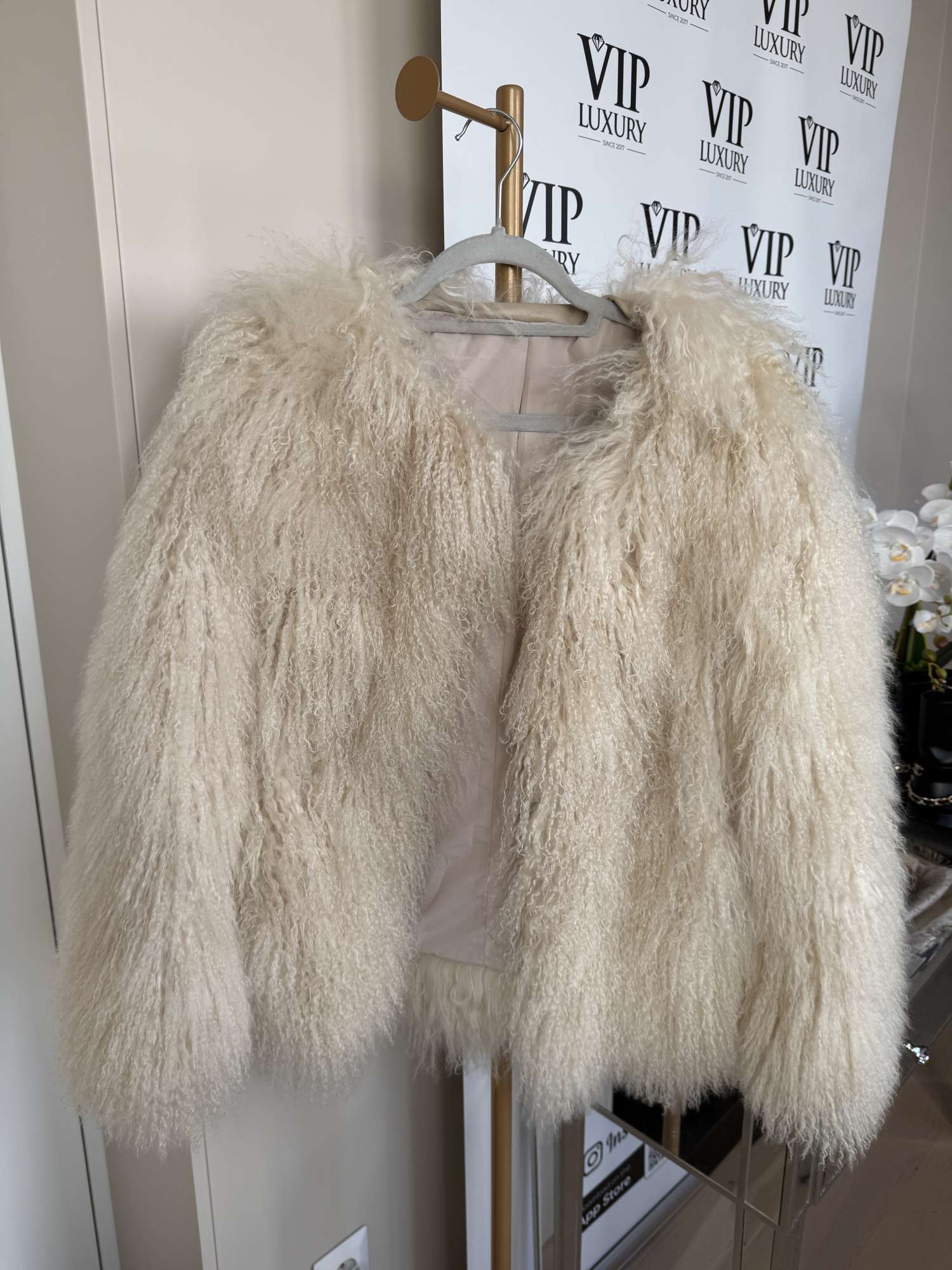 Kozuch mongolska ovca