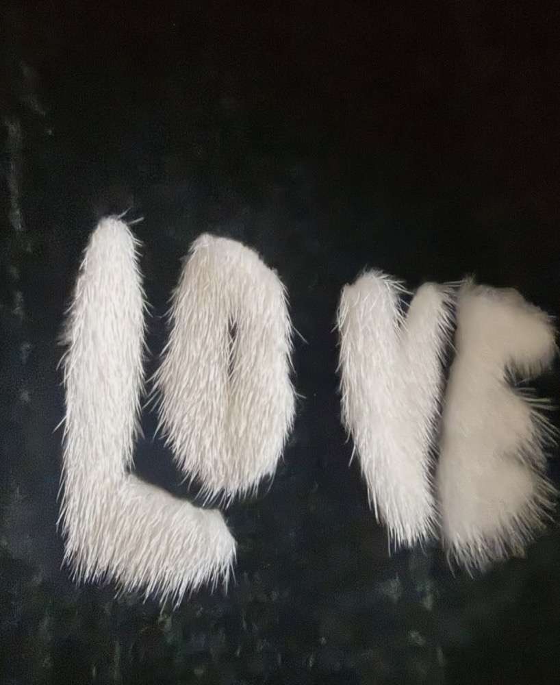 Kozuch perzian norka