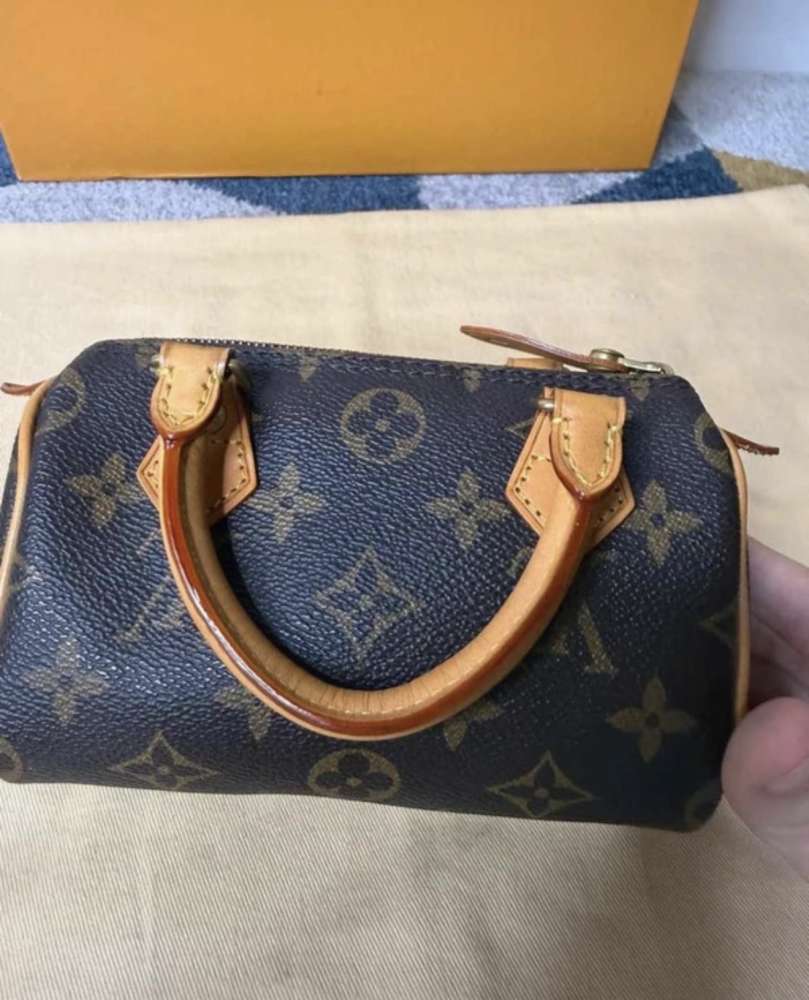 Louis Vuitton nano speedy