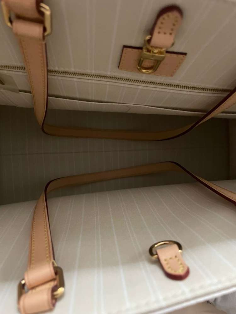 Louis Vuitton onthego