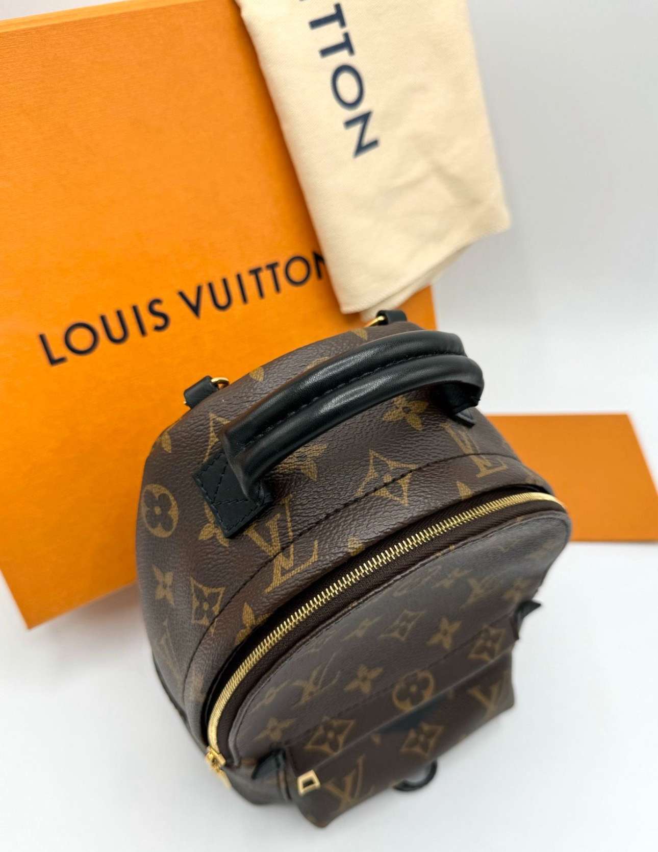 Louis Vuitton Palm Spring mini