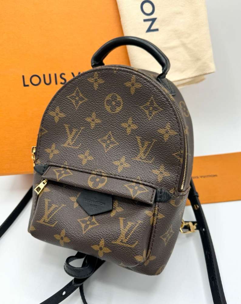 Louis Vuitton Palm Spring mini