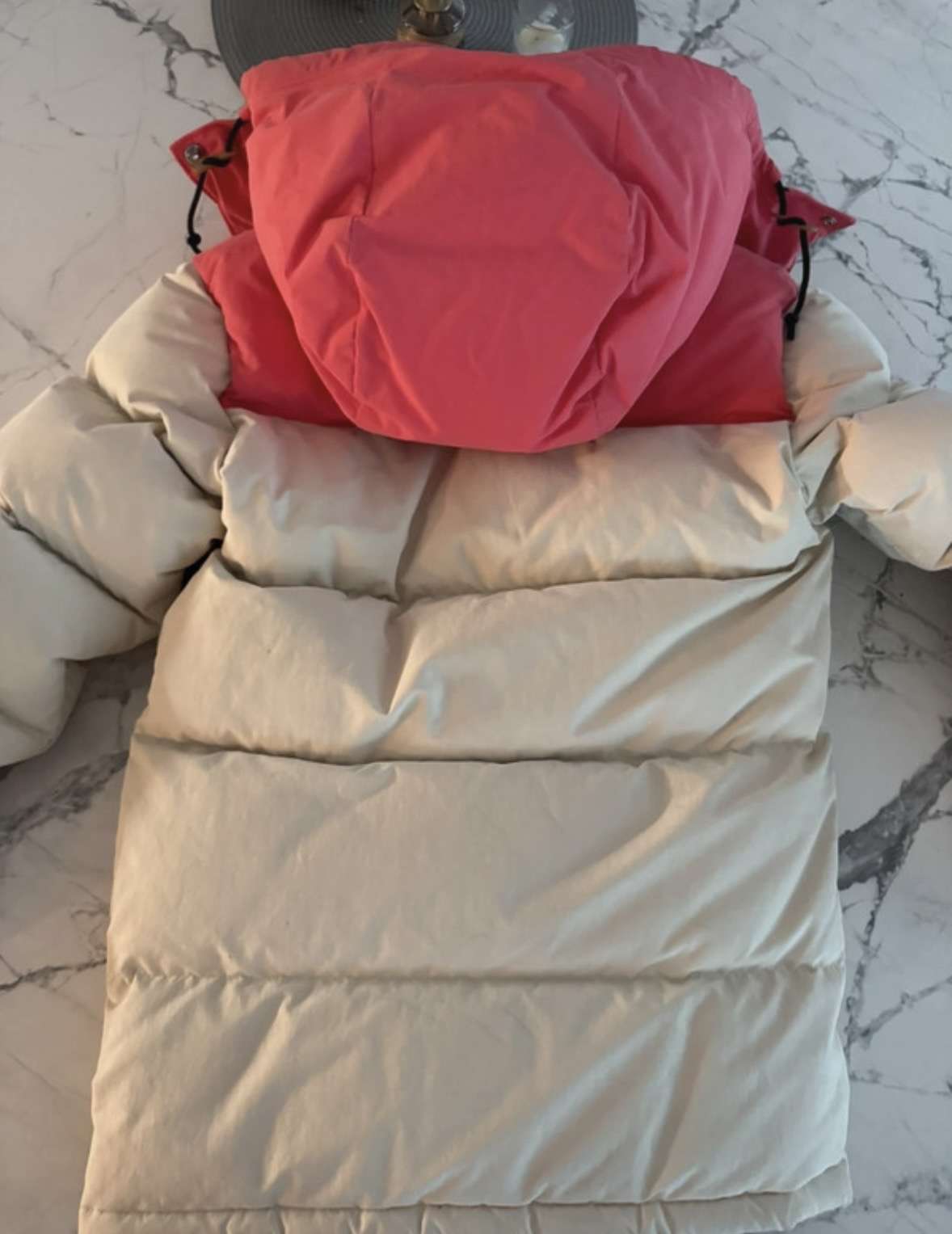 The North Face X Gucci