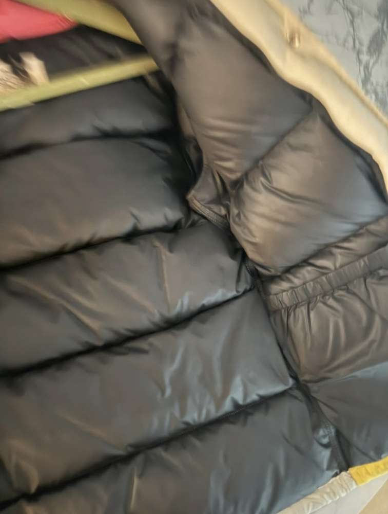 The North Face X Gucci