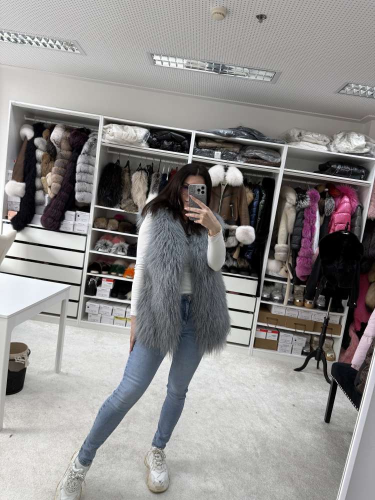 Vesta ( mongolská koza)