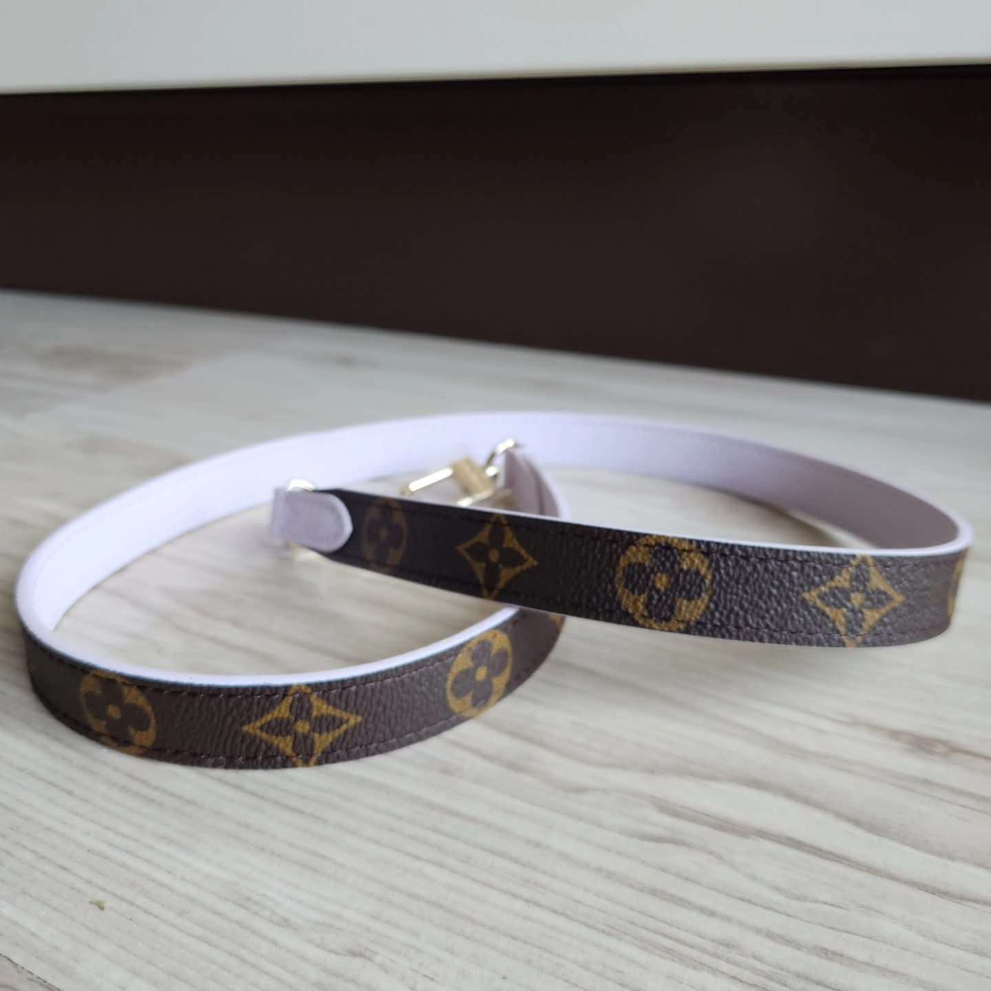 Louis Vuitton Popruh