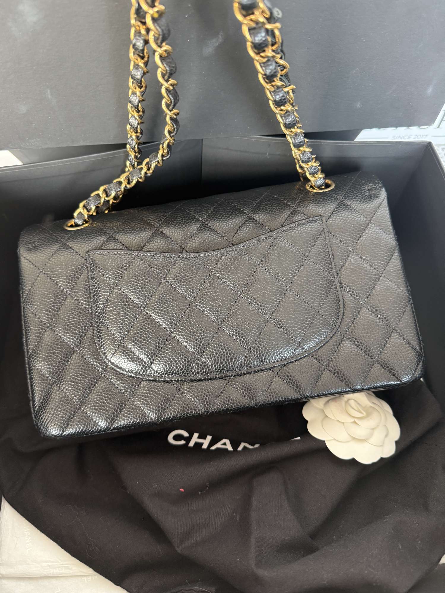 Chanel Double flap iconic