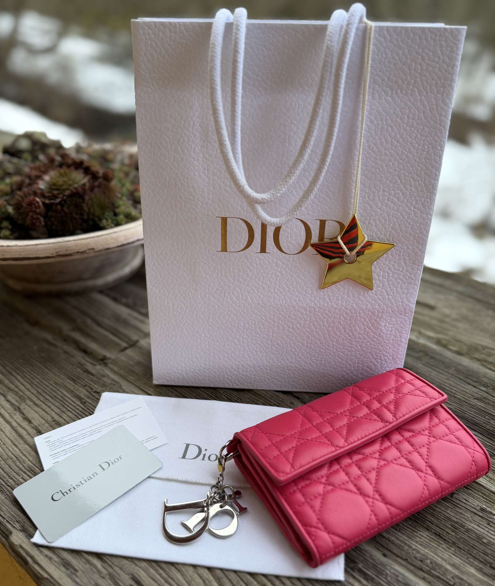 Nová peněženka Dior