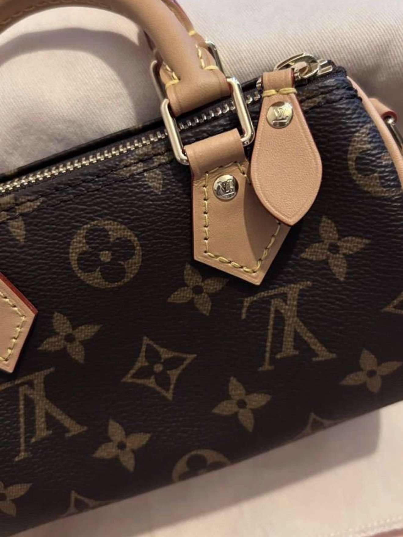 Louis Vuitton nano speedy