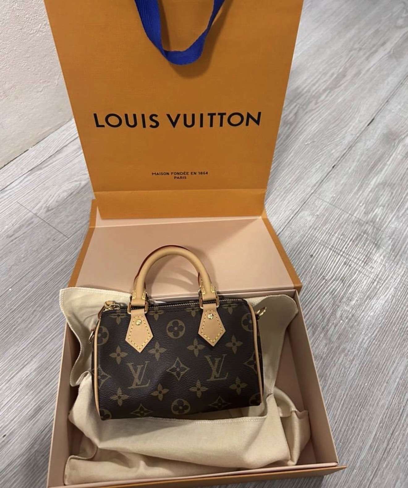 Louis Vuitton nano speedy