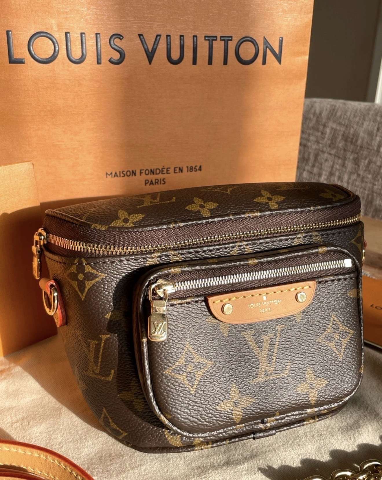 Louis Vuitton bumbag