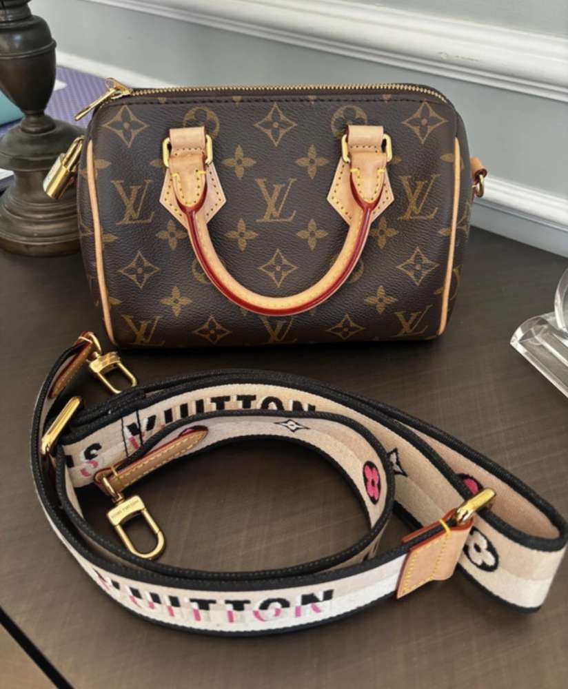 Louis Vuitton speedy 20