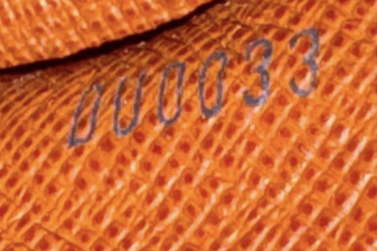 Louis Vuitton papilon 20