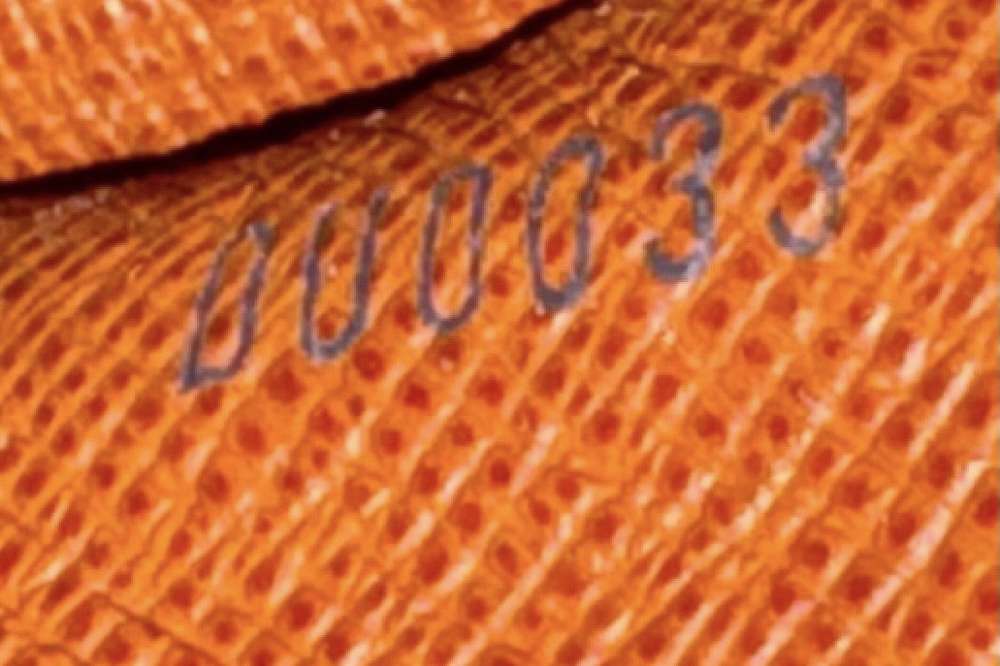 Louis Vuitton papilon 20