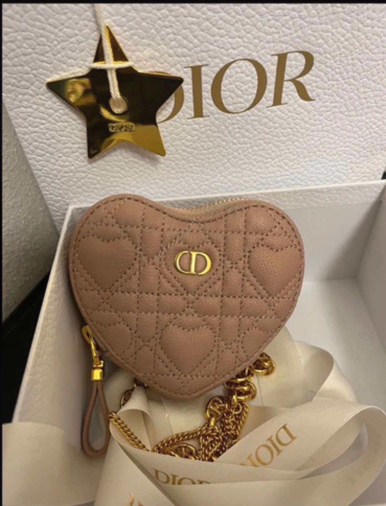 Dior crossbody