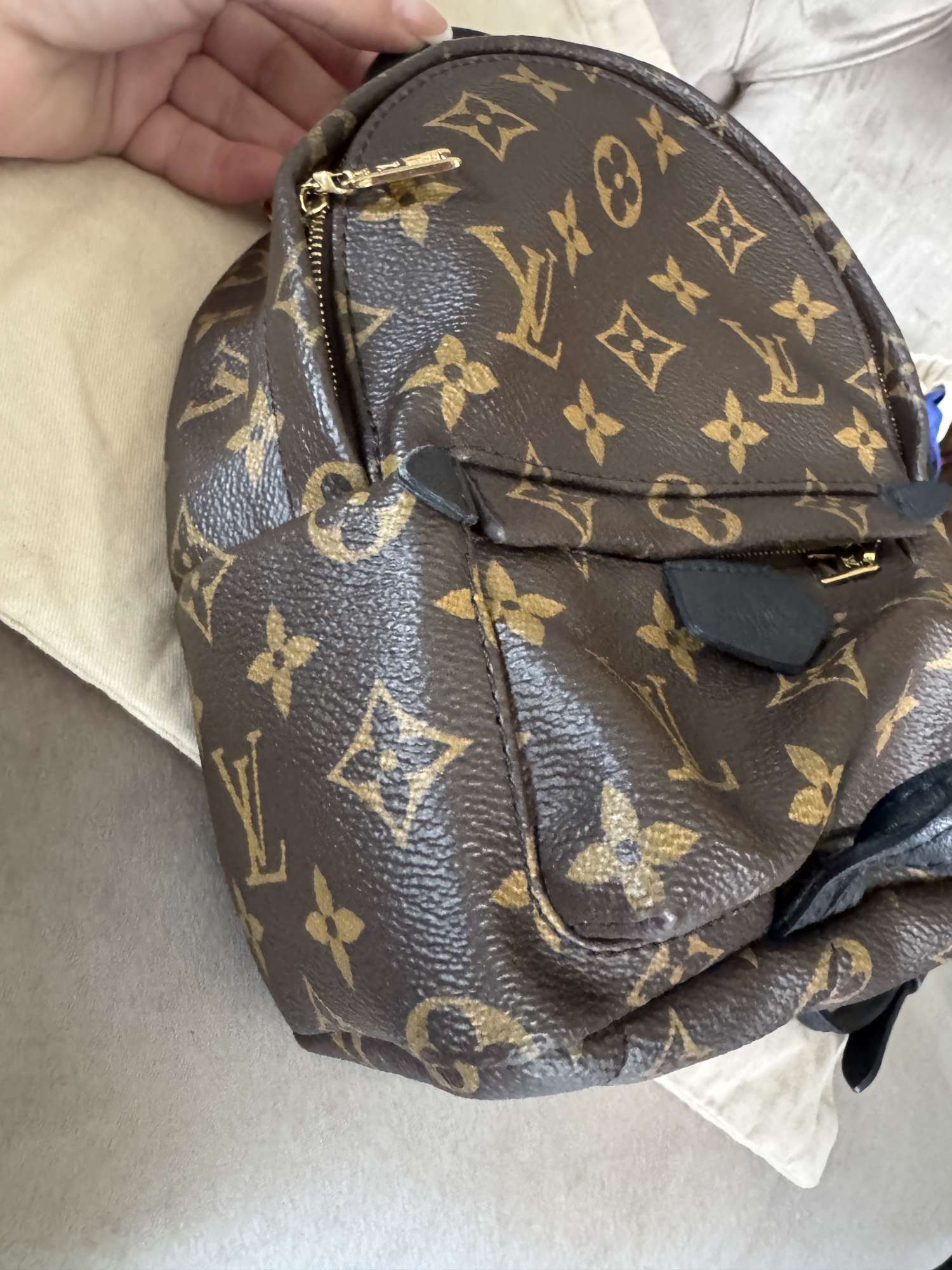 Louis Vuitton palmsprings mini
