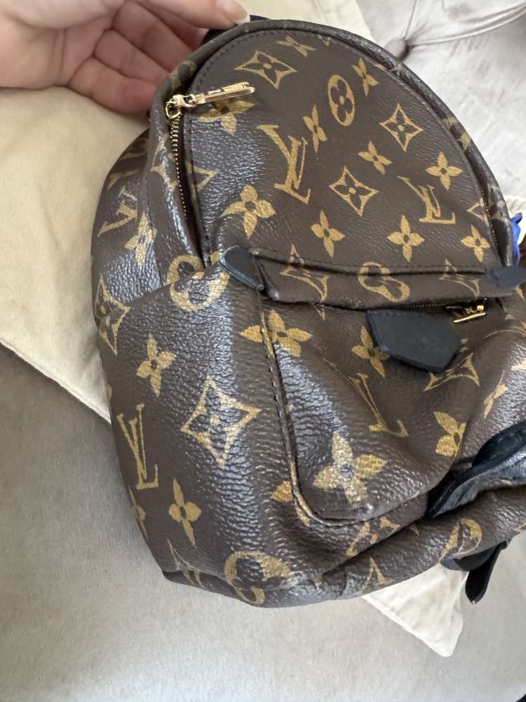 Louis Vuitton palmsprings mini