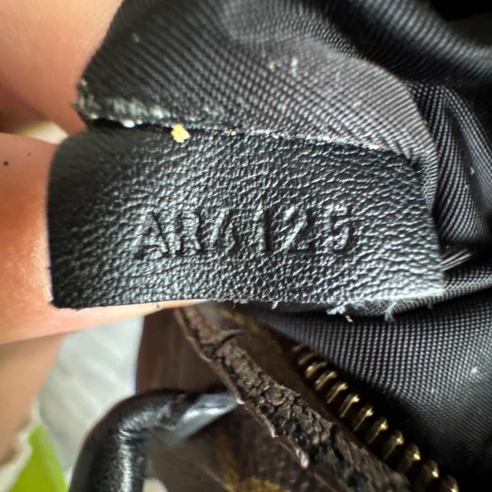 Louis Vuitton palmsprings mini