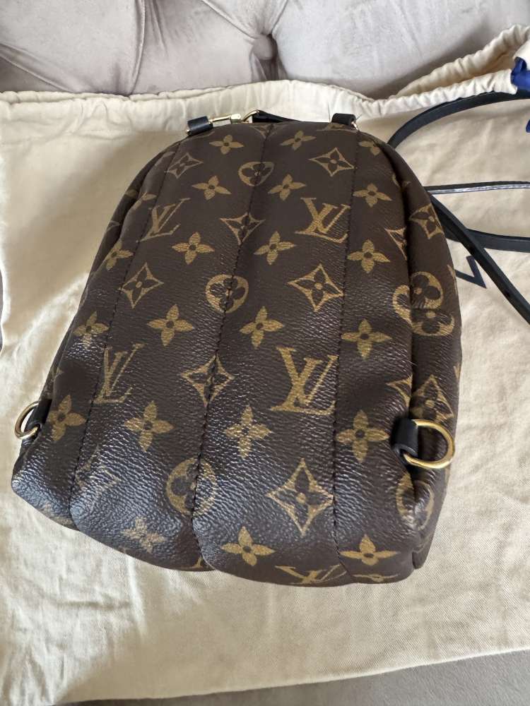 Louis Vuitton palmsprings mini