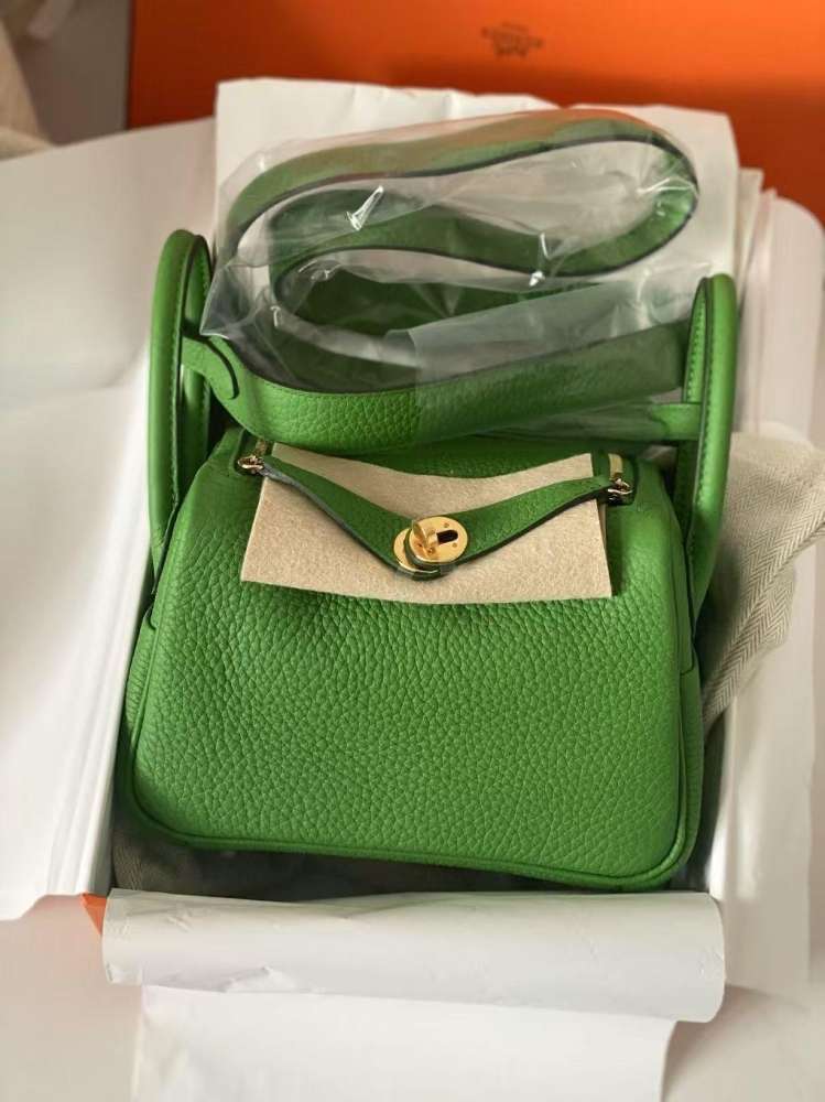 Hermes Mini Lindi