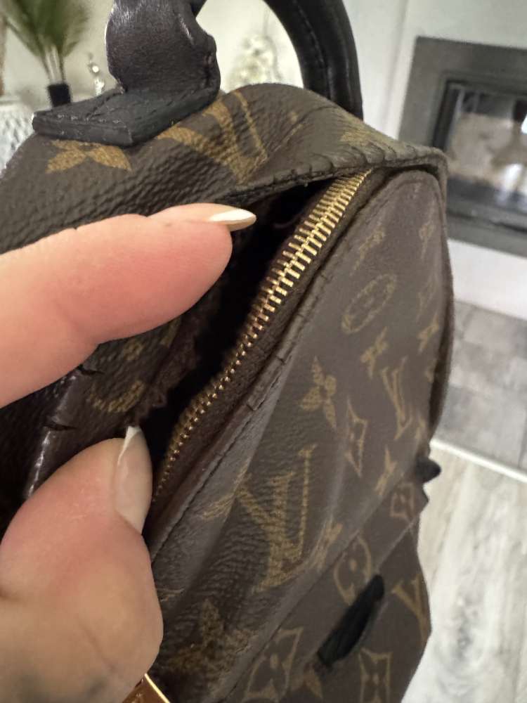 Louis Vuitton Palm springs mini