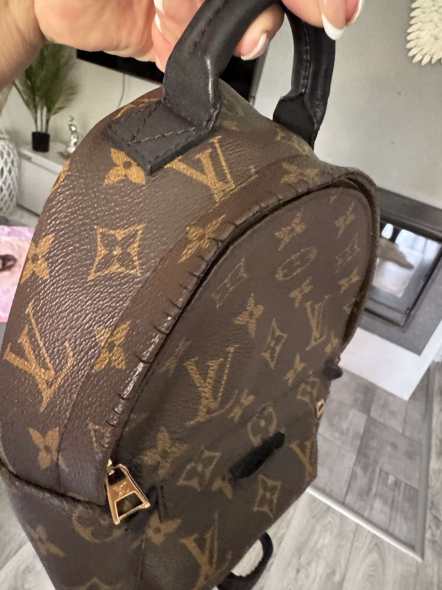 Louis Vuitton Palm springs mini