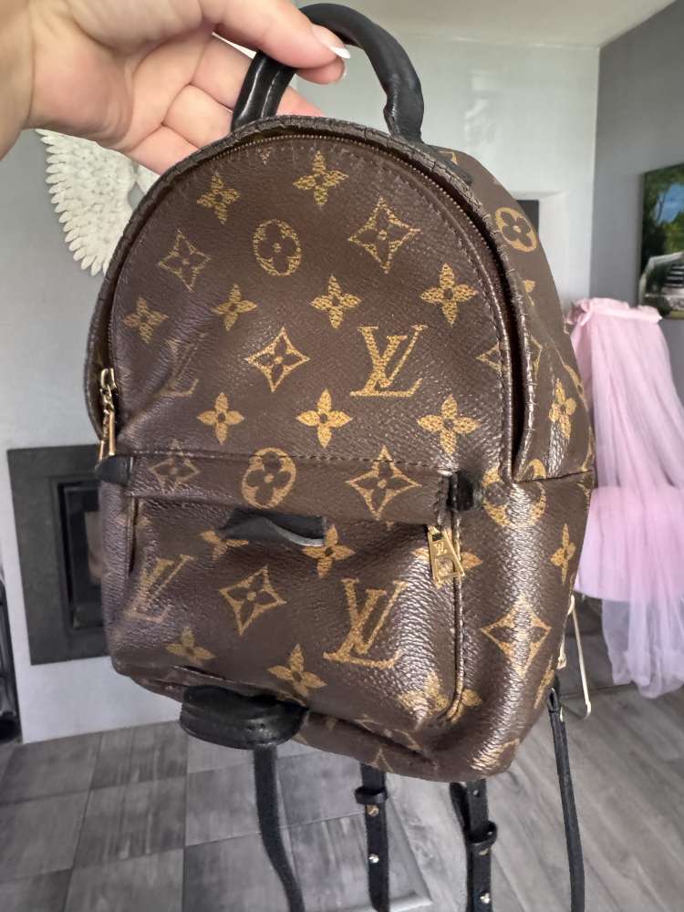 Louis Vuitton Palm springs mini