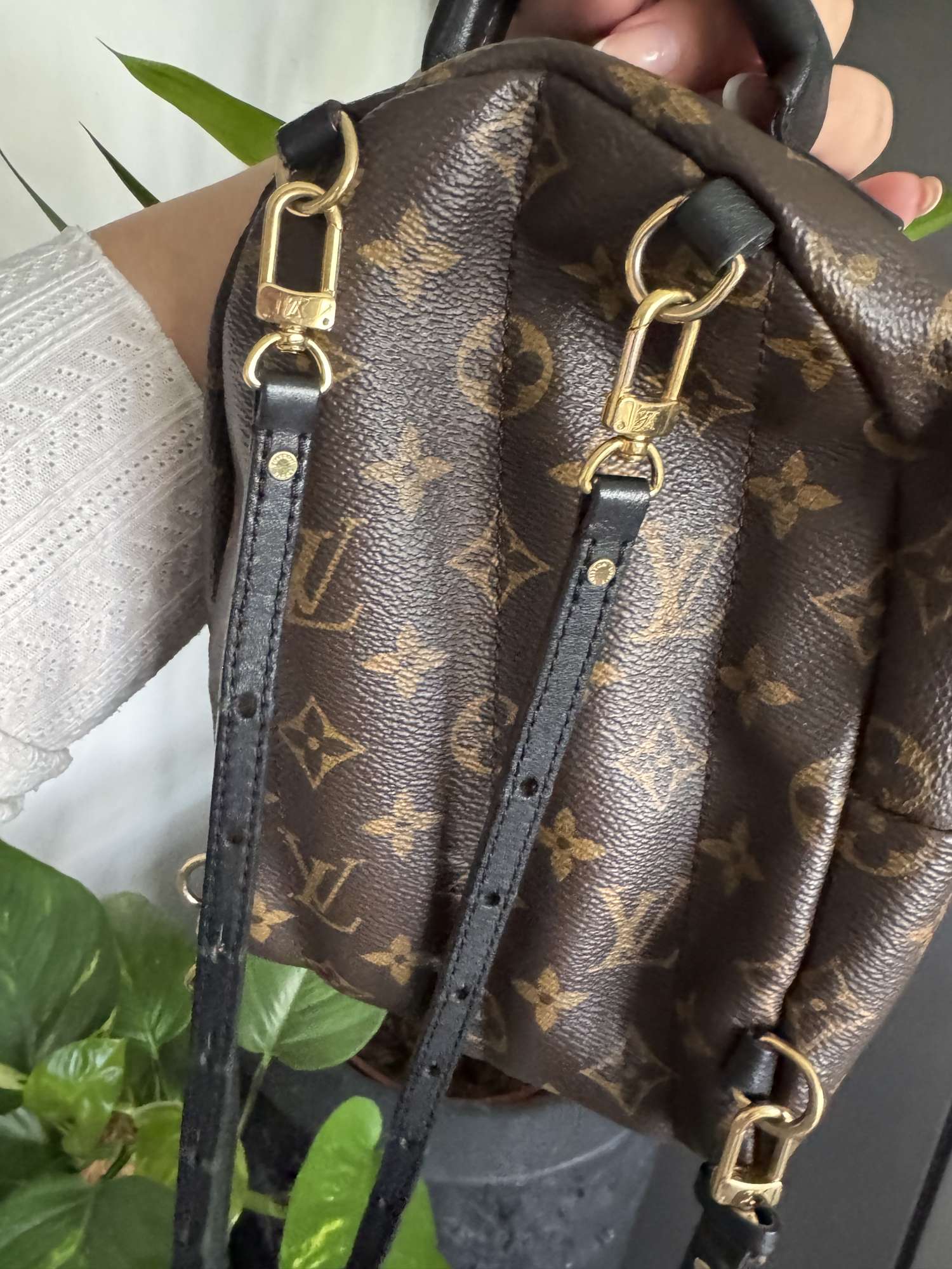 Louis Vuitton Palm springs mini
