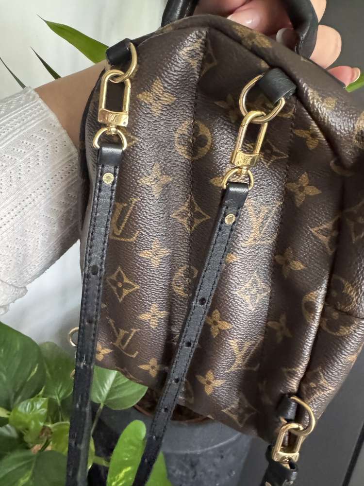 Louis Vuitton Palm springs mini