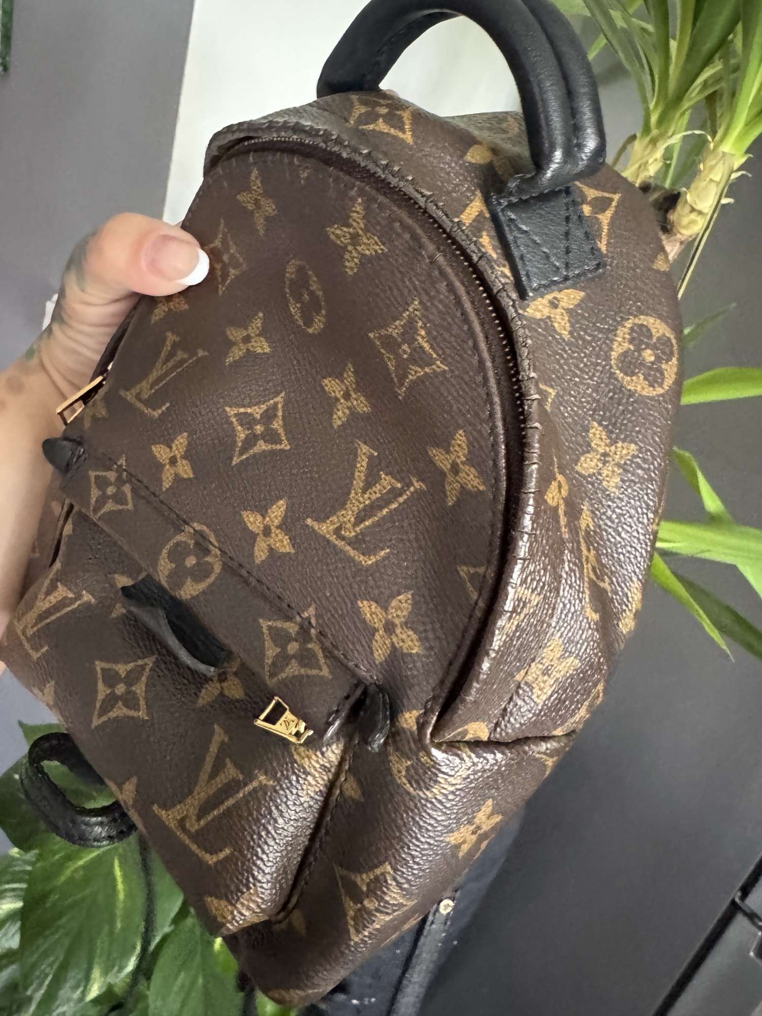 Louis Vuitton Palm springs mini