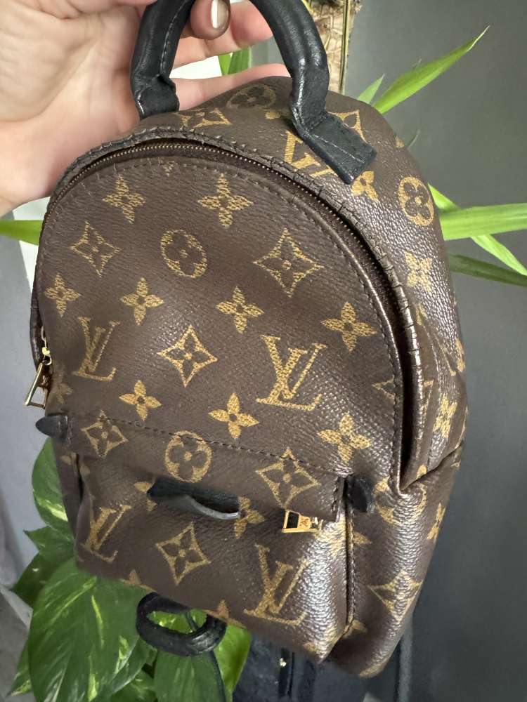Louis Vuitton Palm springs mini