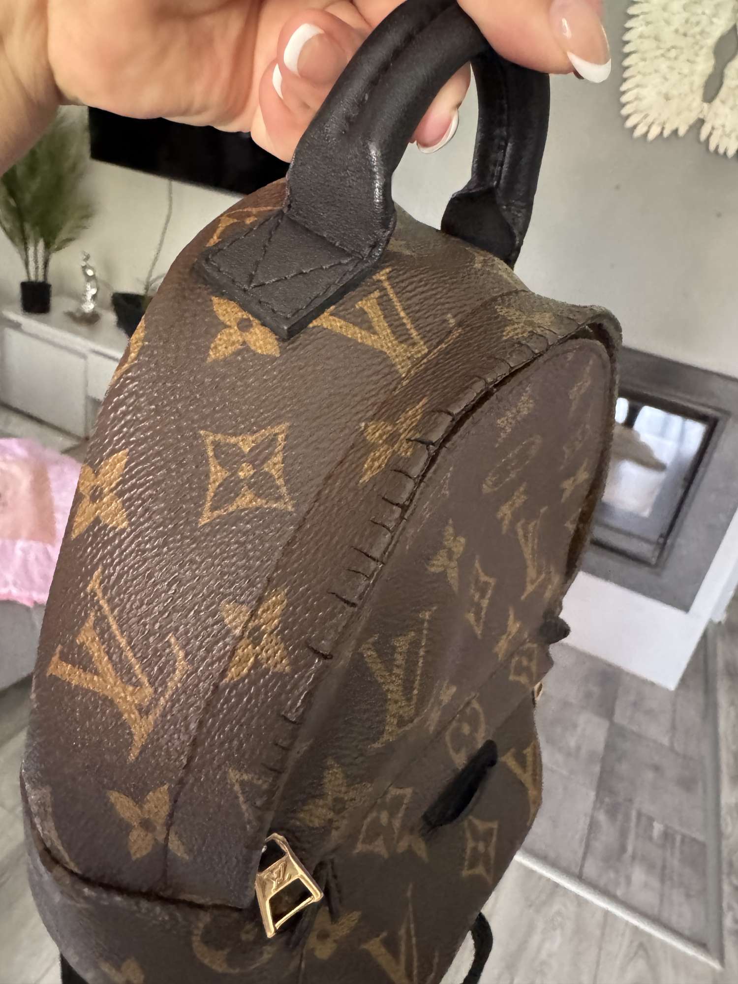 Louis Vuitton Palm springs mini