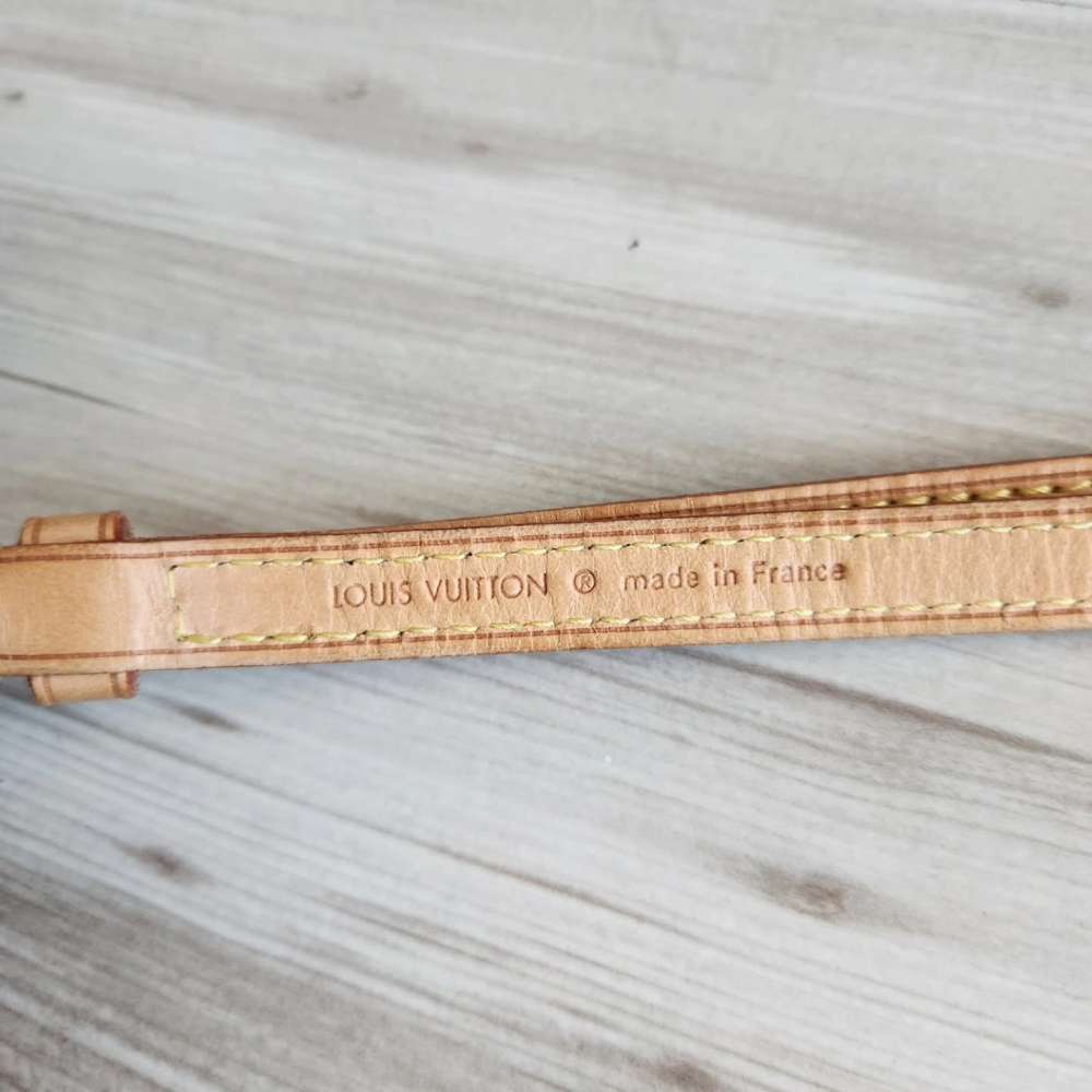 Louis Vuitton Pochette Accessoires