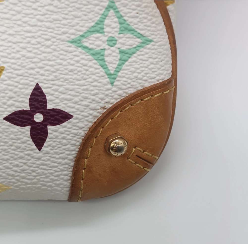 Louis Vuitton clutch
