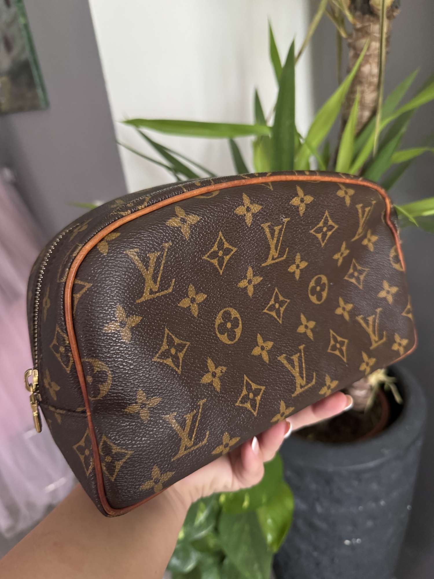 Louis Vuitton travel case