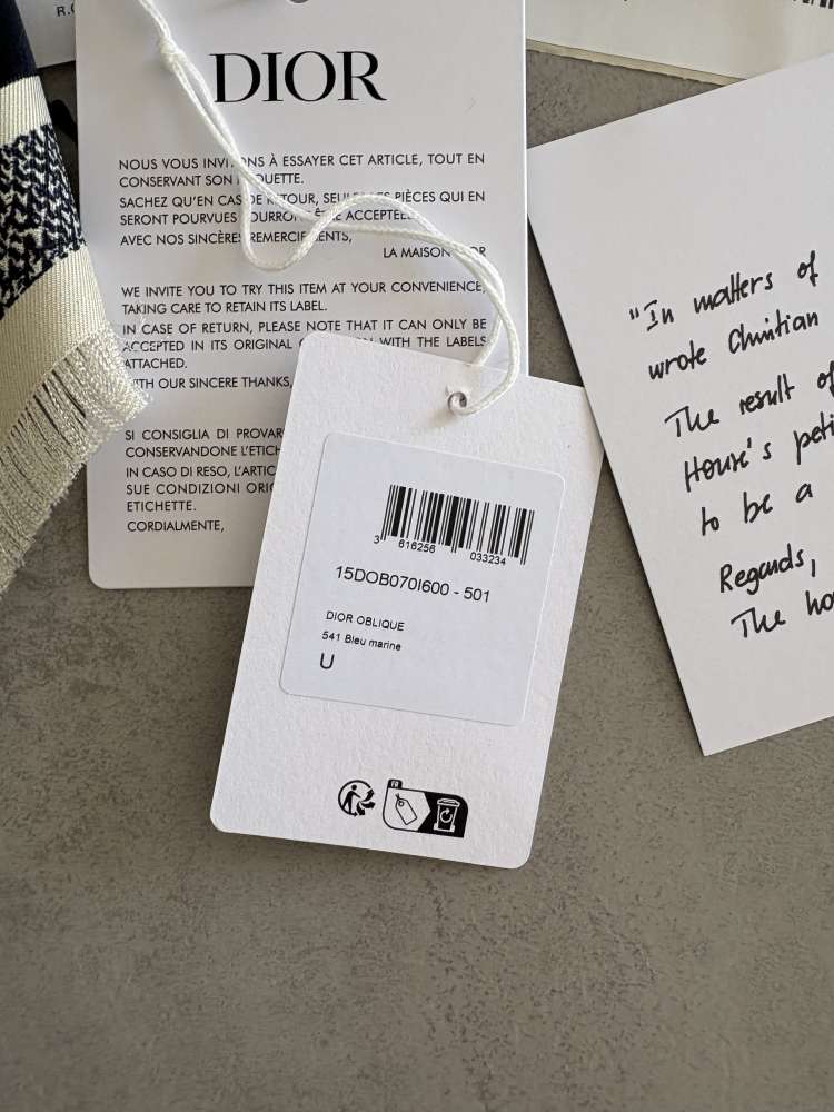 Dior oblique diortwin square scarf