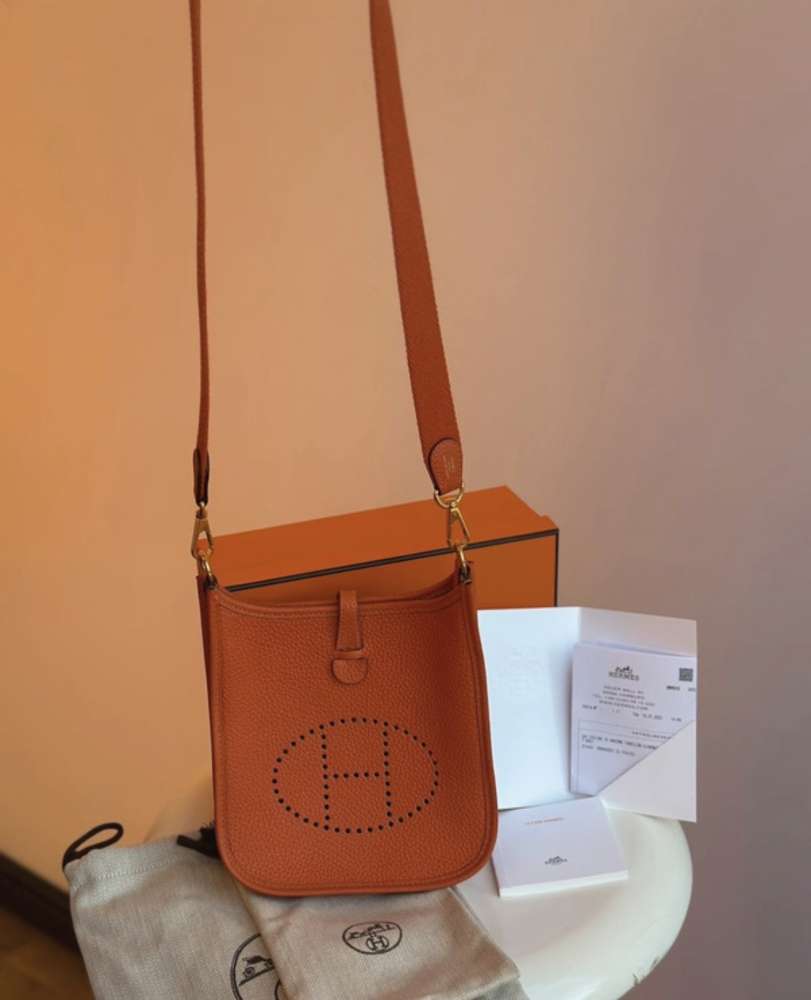 Hermes evelyne 16