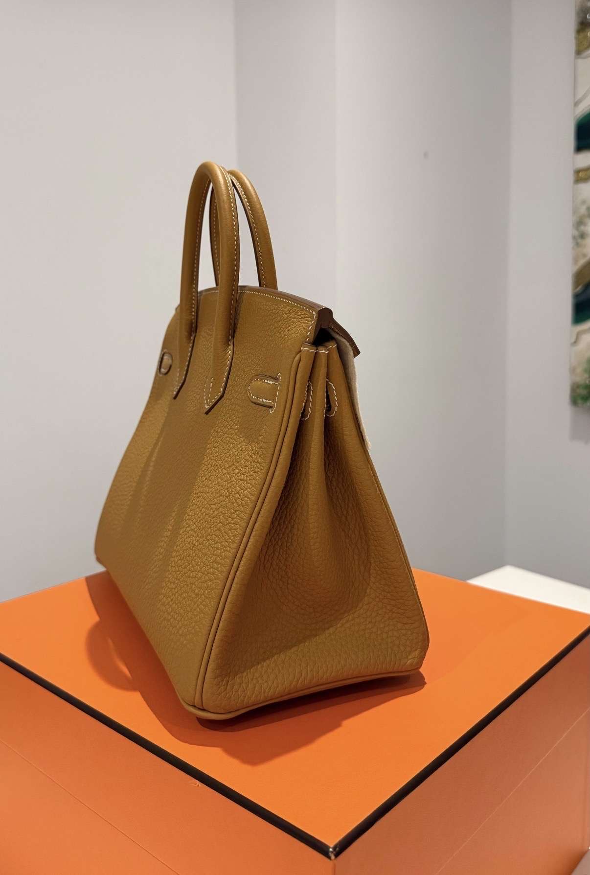 Hermes Birkin 25