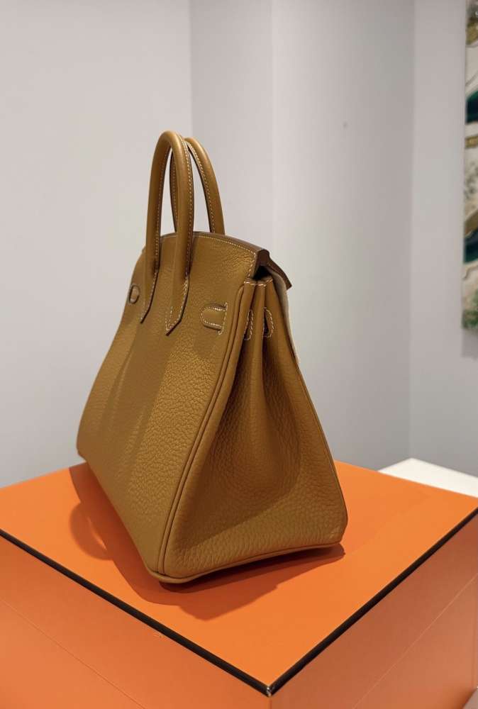 Hermes Birkin 25