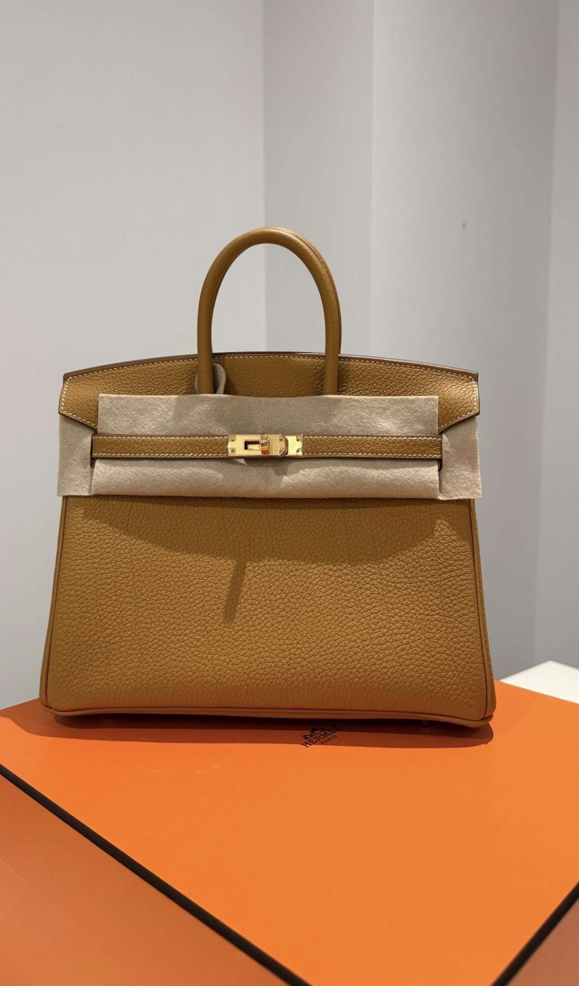 Hermes Birkin 25