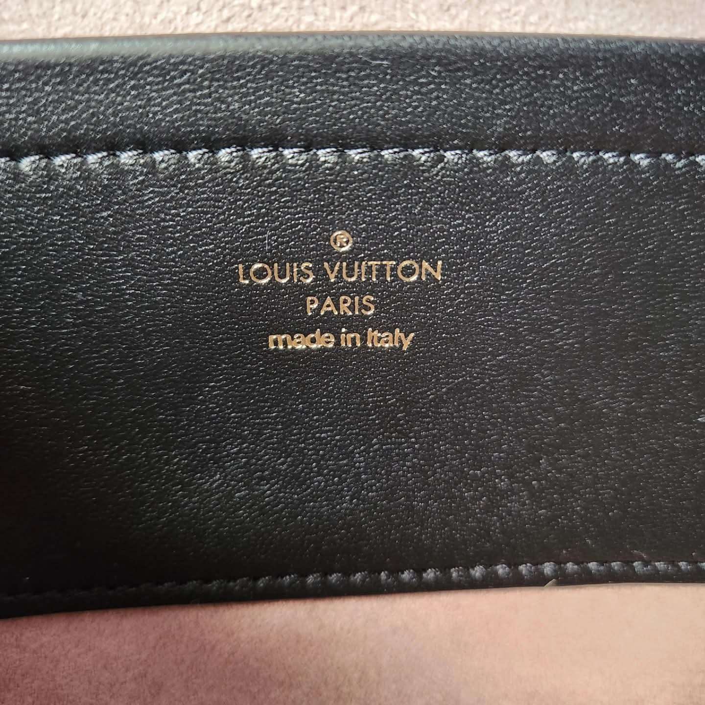 Louis Vuitton Coussin