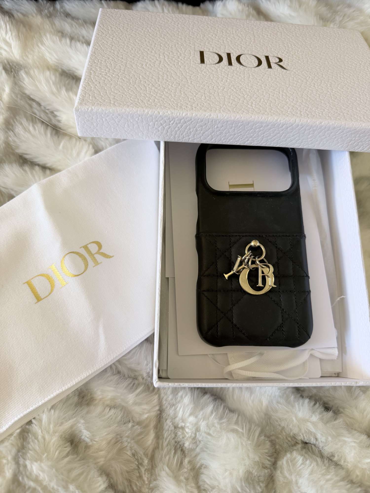 Kryt Dior