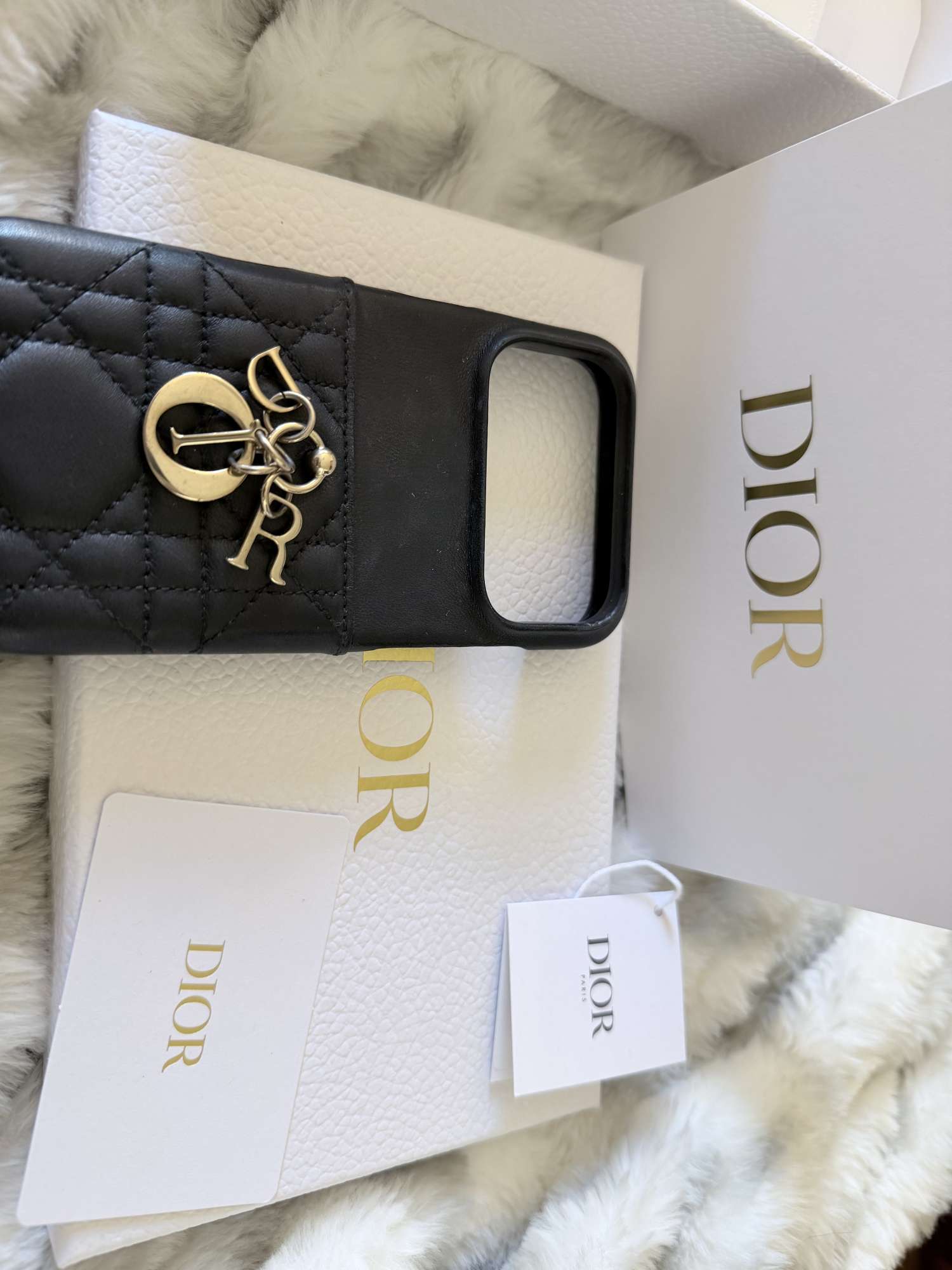 Kryt Dior