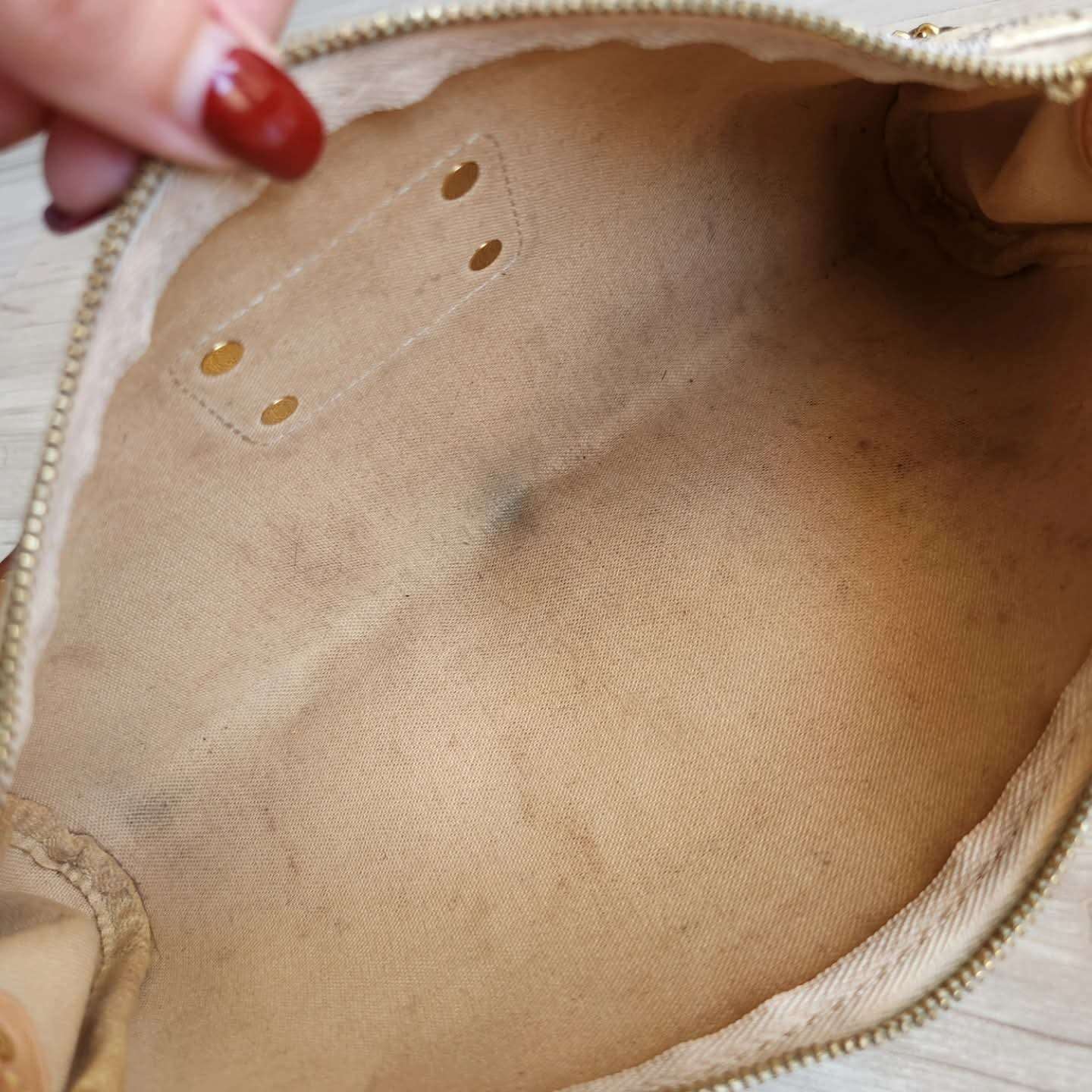 Louis Vuitton Eva