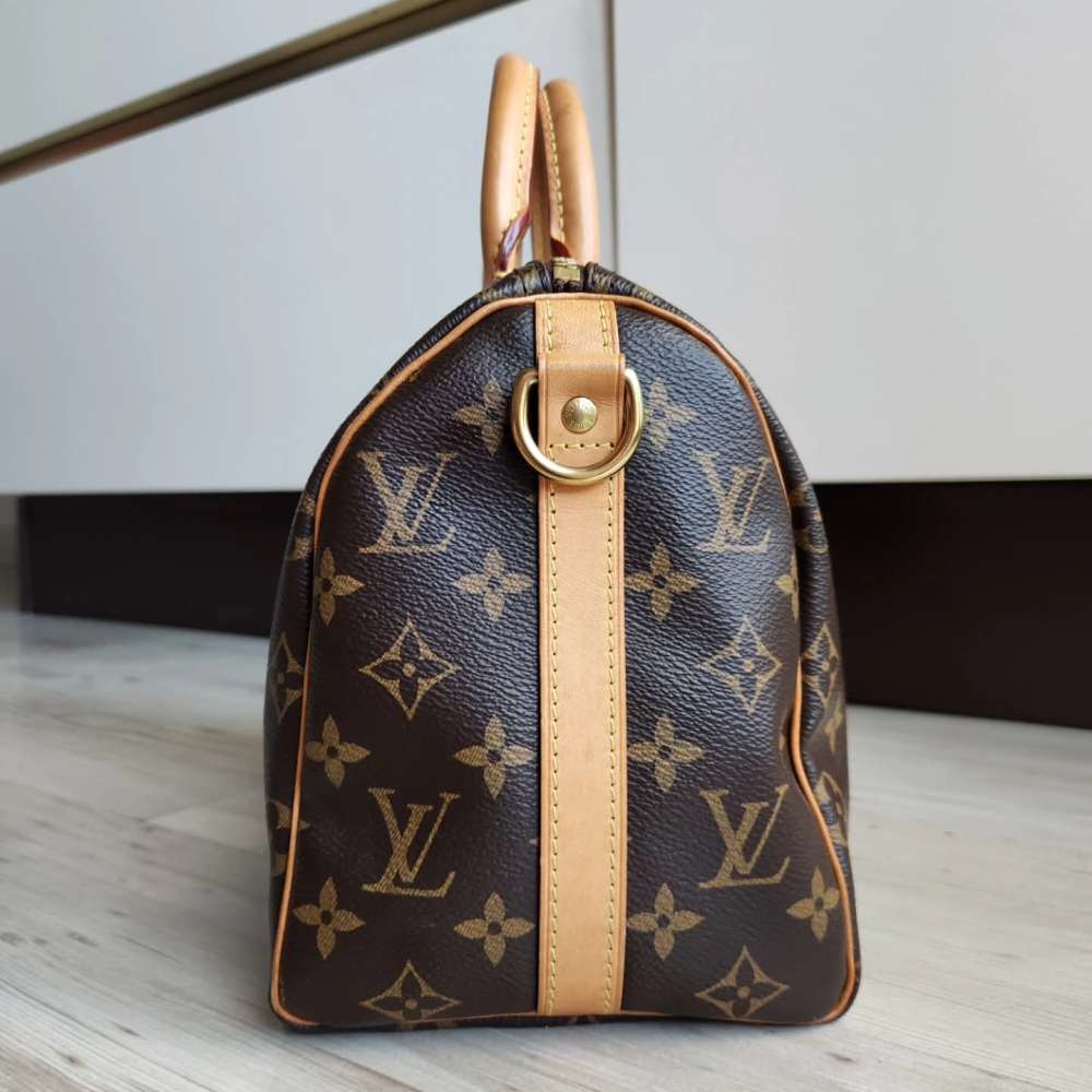 Louis Vuitton Speedy 25
