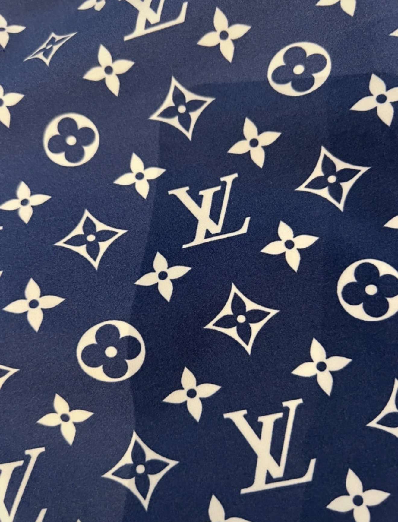 Louis Vuitton plavky