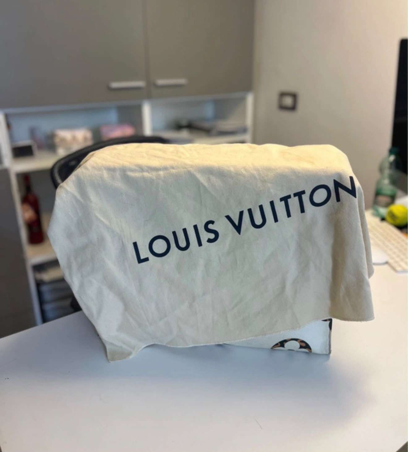 Louis Vuitton onthego GM