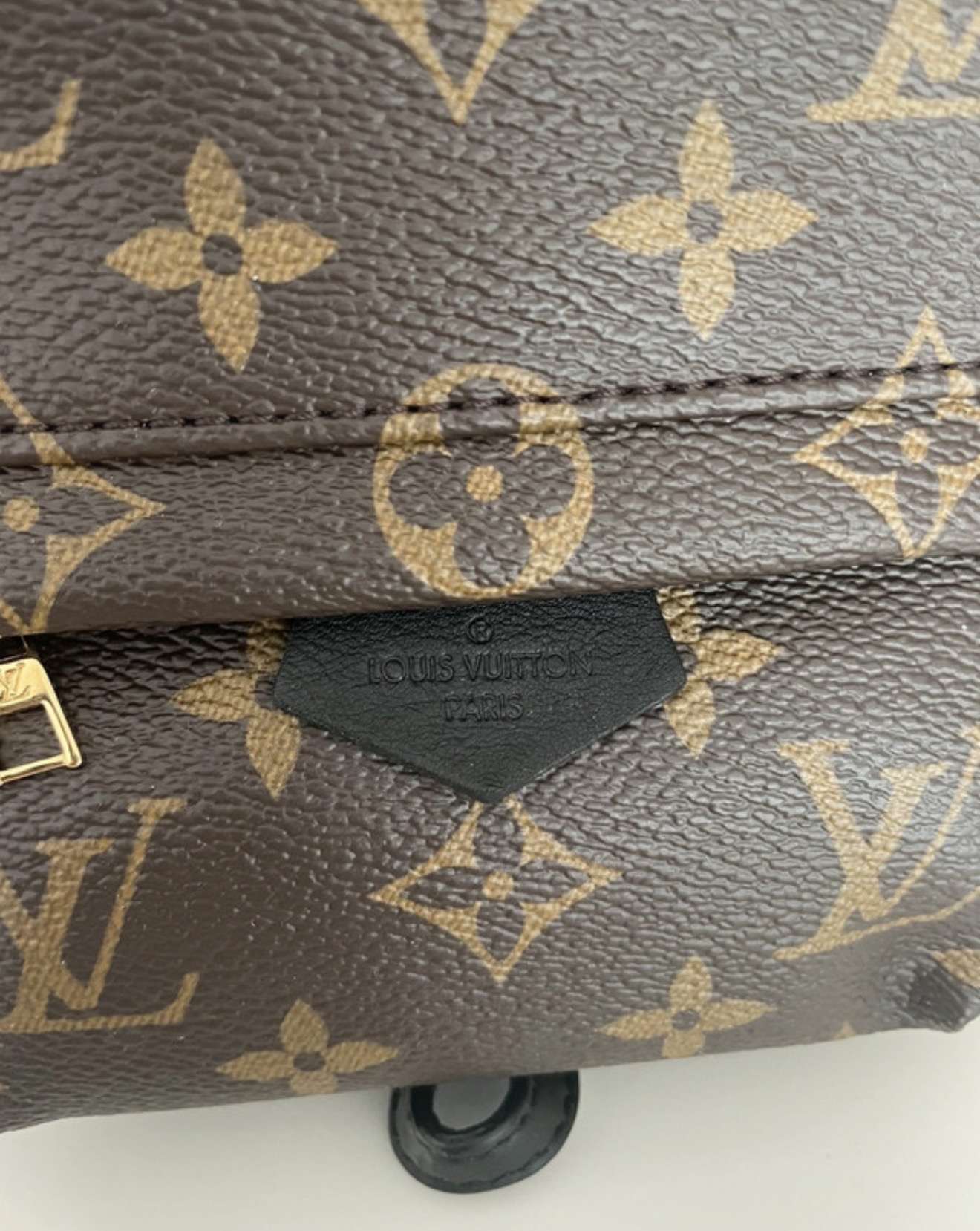 Louis Vuitton Palm spring mini